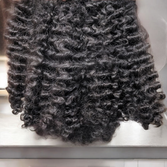 Raw Burmese Curly